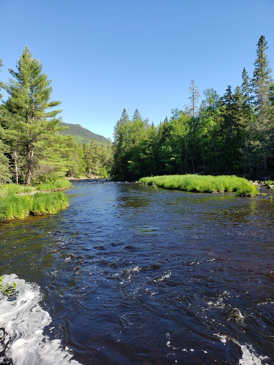 Maine river landscape