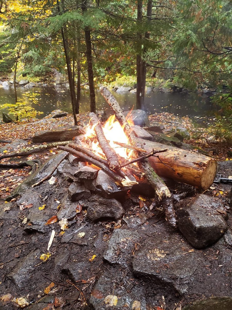 Campfire in the woods